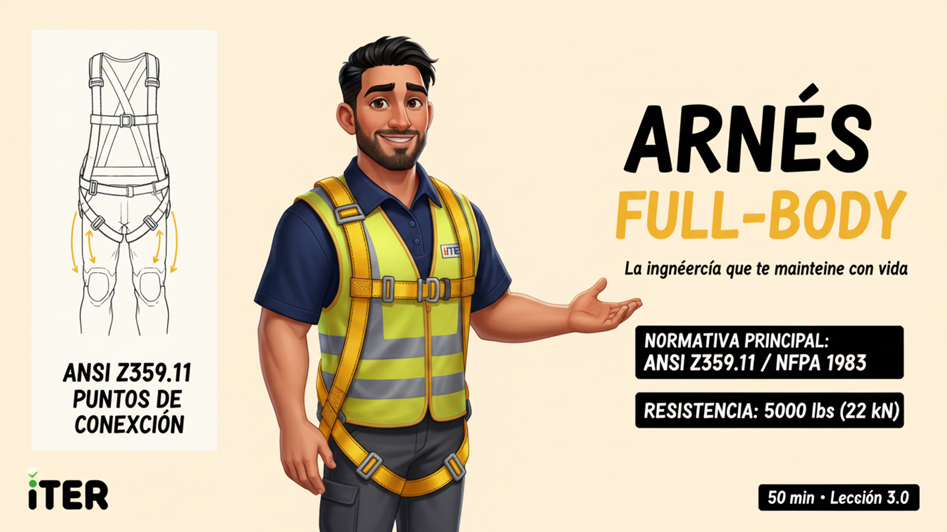 Arnés full-body — ANSI Z359.11, puntos de conexión y ajuste correcto