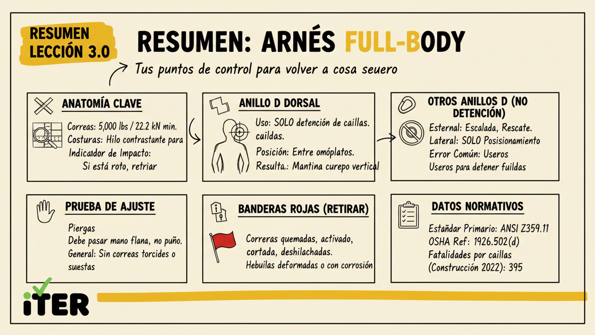 Resumen de la Lección: Arnés full-body — ANSI Z359.11, puntos de conexión y ajuste correcto